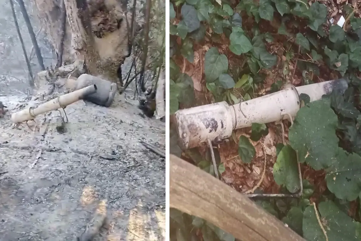 Sakarya'daki orman yangınının sebebi belli oldu: 2 gözaltı