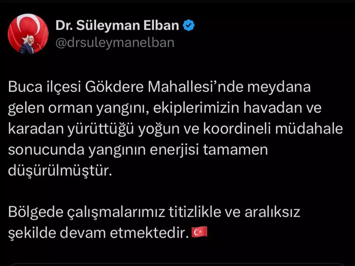 İzmir'deki Orman Yangını Kontrol Altına Alındı