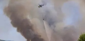 İzmir orman yangını son durum nedir?