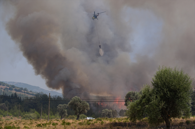 İzmir orman yangını son durum nedir?