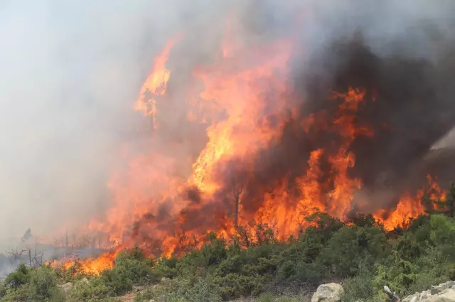 Our lungs are burning in İzmir and Bursa