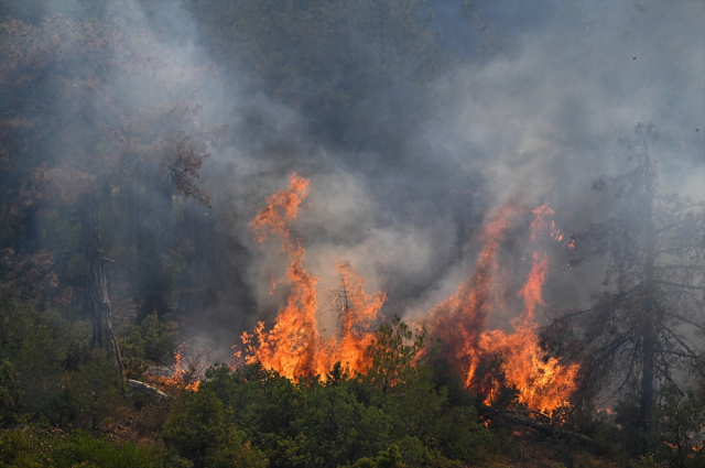 Fire in the forested area of Karabük! Two villages evacuated