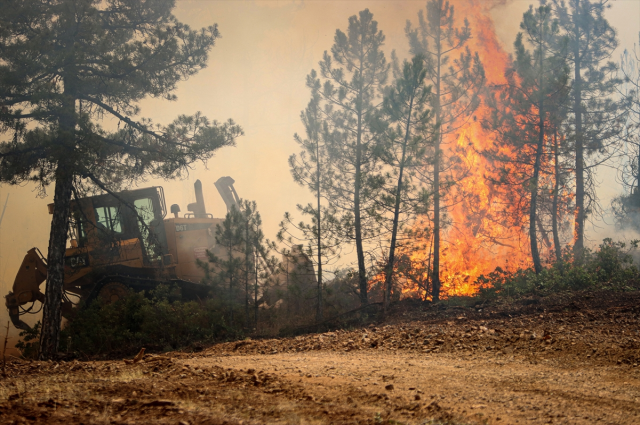 Fire in the forested area of Karabük! Two villages evacuated