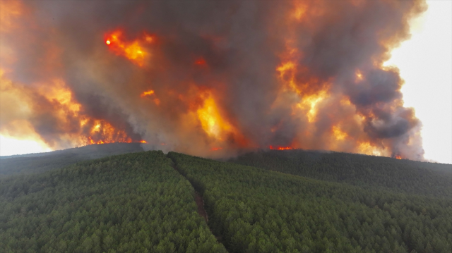 Fire in the forested area of Karabük! Two villages evacuated