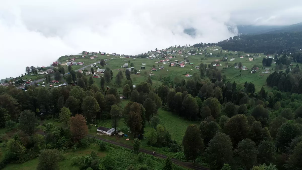 Trabzon'un Hıdırnebi Yaylası, Sıcak Havalardan Kaçış Noktası Oldu
