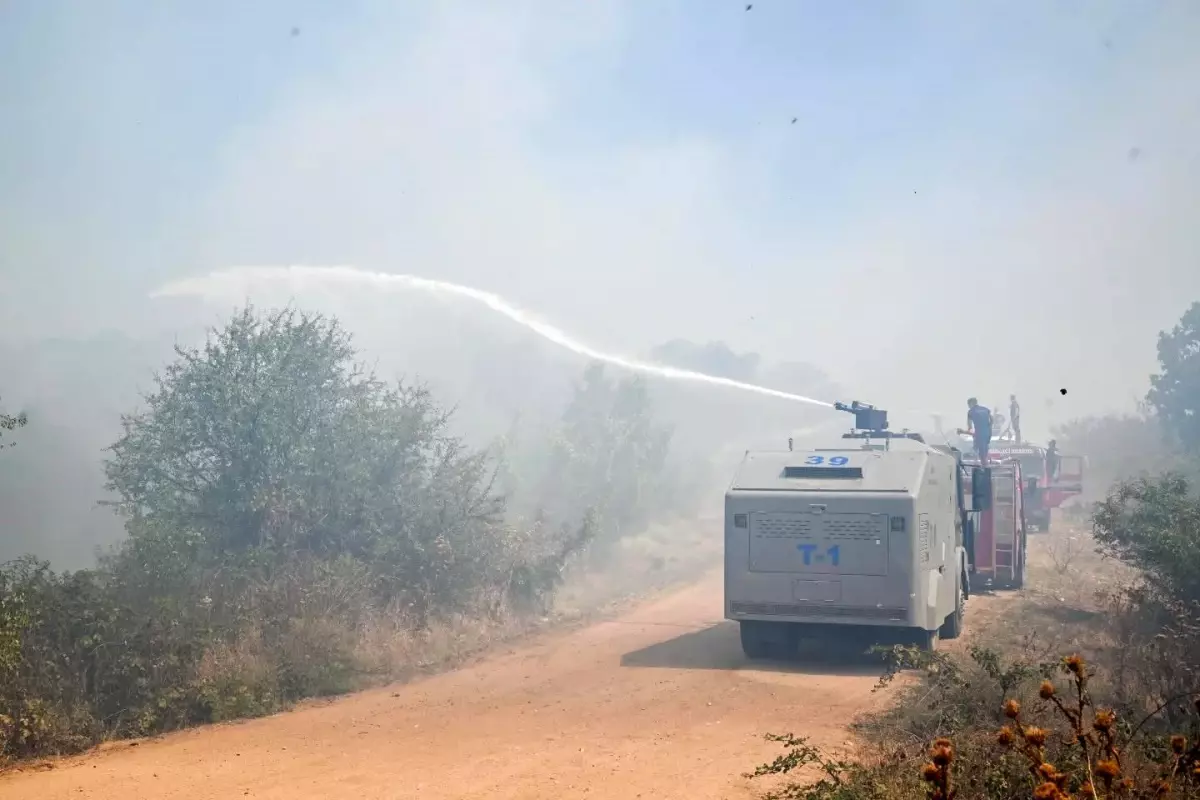 Kırklareli'nde Tarla Yangını Ormana Sıçradı, Hızla Kontrol Altına Alındı