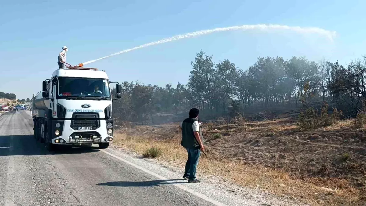 Kütahya'da Orman Yangını Kontrol Altına Alındı