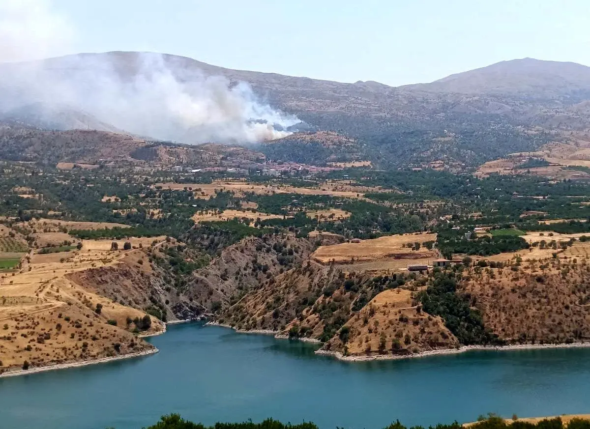 Malatya'da Orman Yangınına Hızlı Müdahale