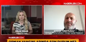 Orman Mühendisleri Odası Genel Başkanı Türkyılmaz: Yangın pandemisi dönemi yaşıyoruz
