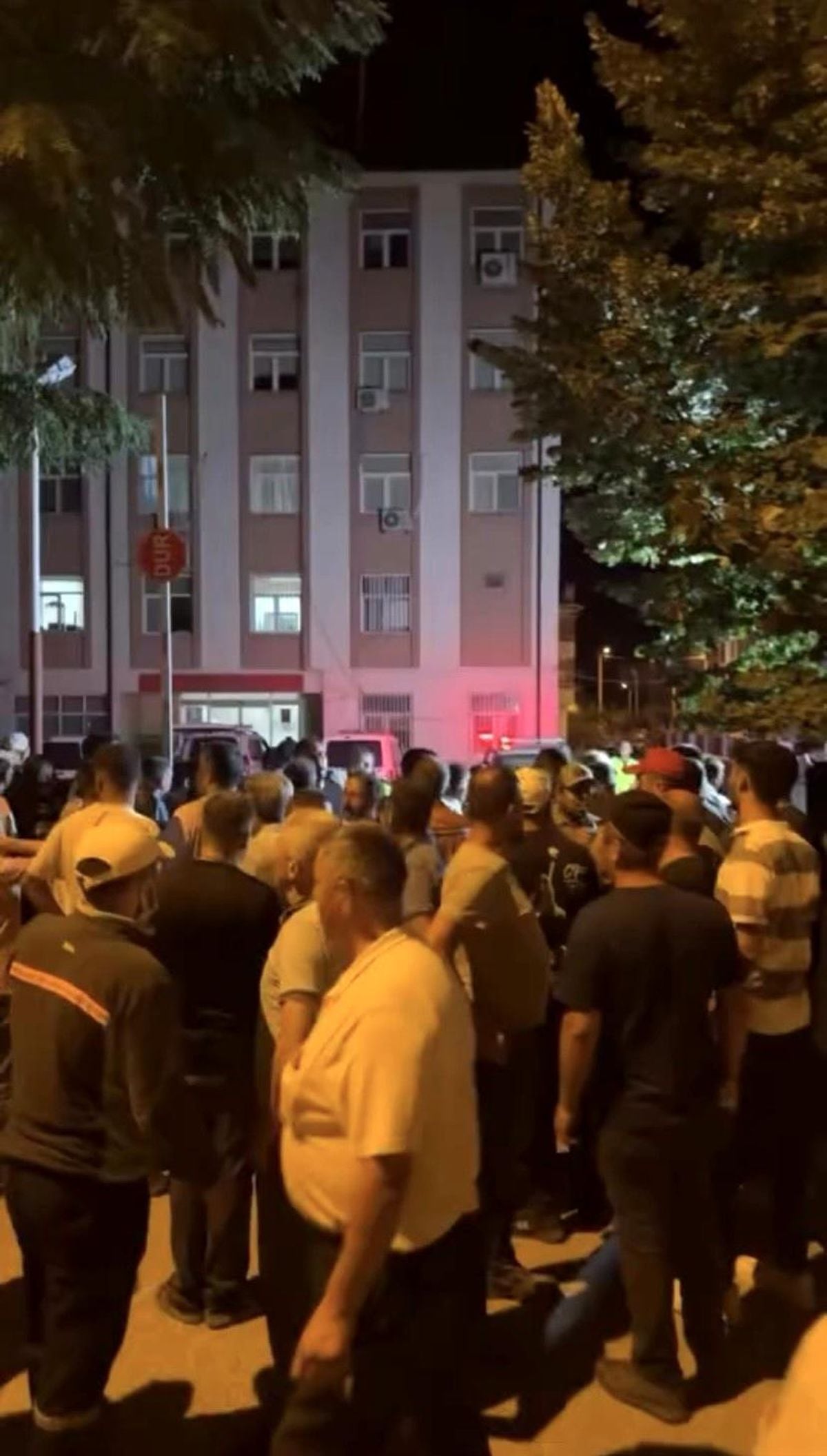 Bursa'da Orman Yangını İle İlgili Gözaltı