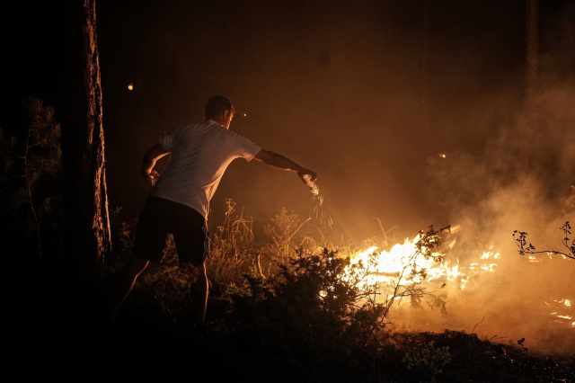 Последняя информация о лесных пожарах: 4 пожара в 3 провинциях продолжаются