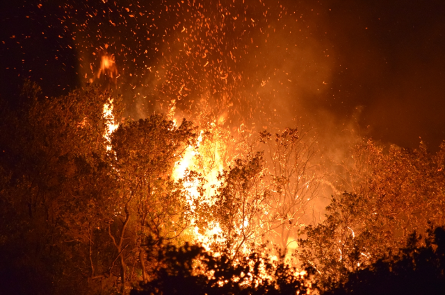 Последняя информация о лесных пожарах: 4 пожара в 3 провинциях продолжаются