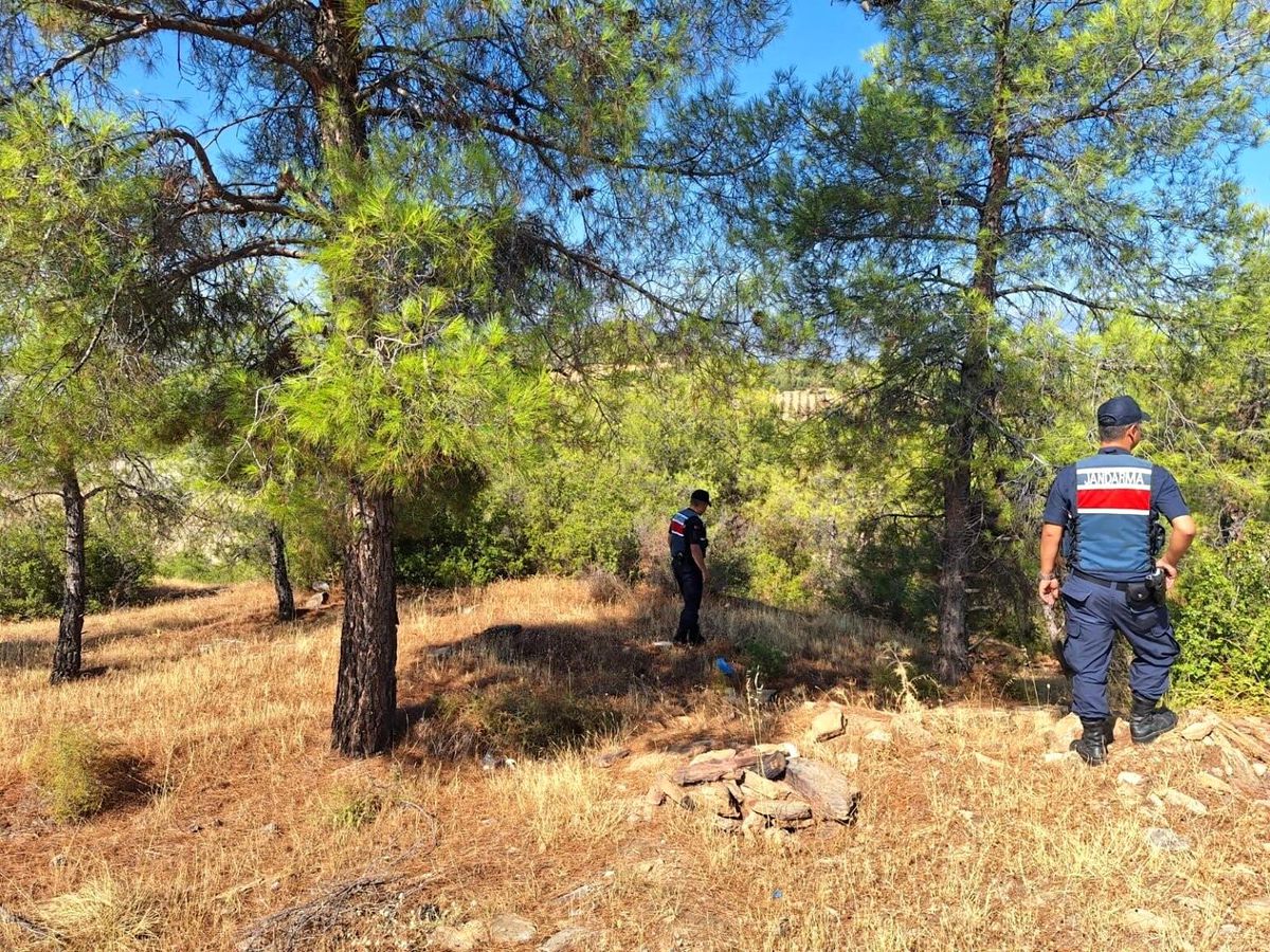 Aydın'da Orman Yangınlarına Karşı Denetimler Sıkılaştı