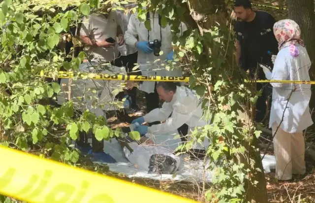 A male corpse found with a garbage bag placed over his head and taped in a forested area