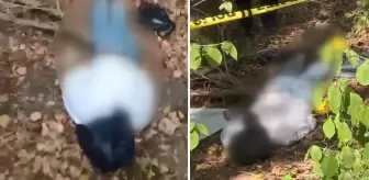Ormanlık alanda başına çöp poşeti geçirilip bantlanmış erkek cesedi bulundu