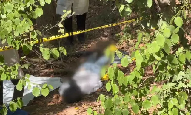 A male corpse found with a garbage bag placed over his head and taped in a forested area