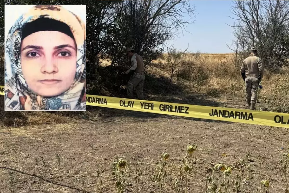 Tarlada başlayan yasak aşk, tarlada bitti