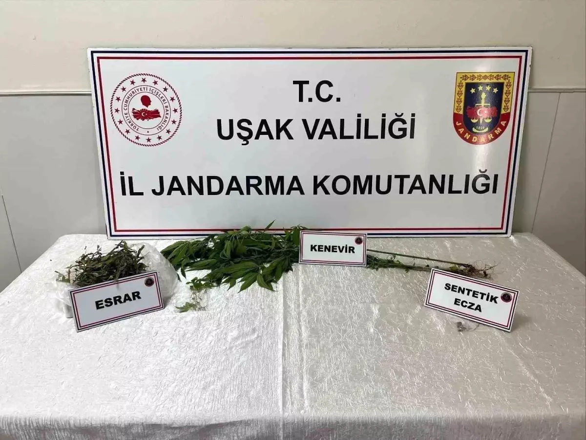 Uşak'ta Uyuşturucu Operasyonu: 1 Gözaltı