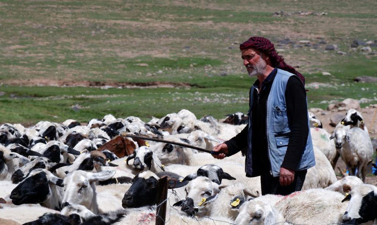 Erzurum'da 'Köyümde Yaşamak İçin Bir Sürü Nedenim Var' Projesi ile 127,7 Milyon TL Kredi Dağıtıldı