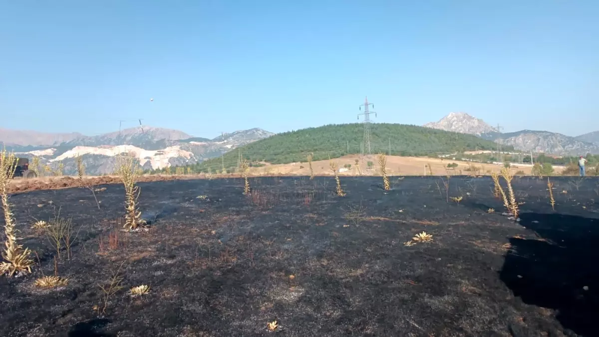 Eğirdir'de Karga Yangın Çıkardı: 2 Dönüm Alan Zarar Gördü