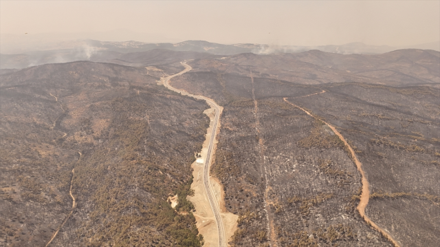 4 ilde yangınlar kontrol altına alındı, Bursa'da alevlerle mücadele devam ediyor