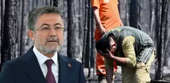 4 ilde yangınlar kontrol altına alındı, Bursa'da alevlerle mücadele devam ediyor