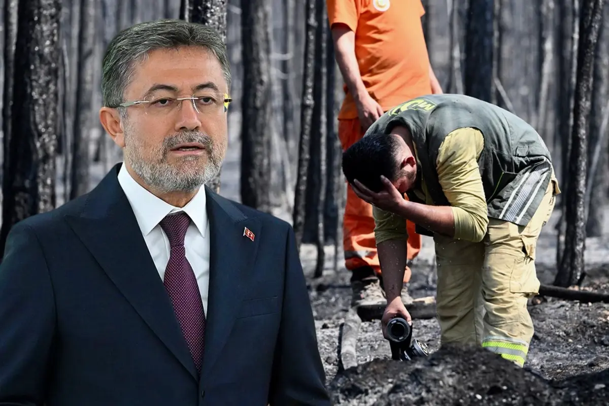 4 ilde yangınlar kontrol altına alındı, Bursa'da alevlerle mücadele devam ediyor