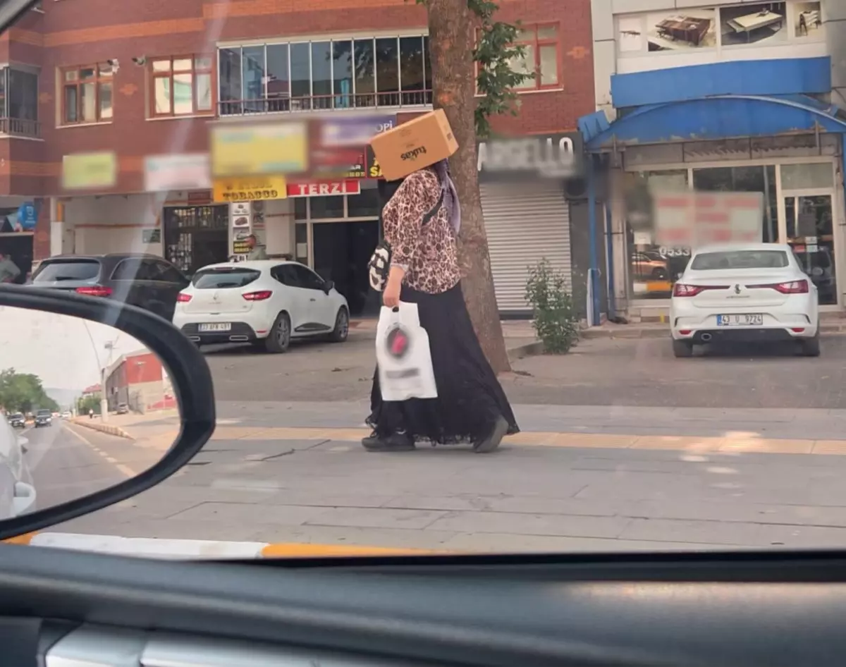 Tunceli'de Sıcak Havalardan Korunma Yöntemi: Karton Kutu