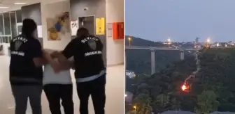 Beykoz'da işaret fişeği atarak orman yangınına sebep olan şahıs tutuklandı! İşte ilk ifadesi