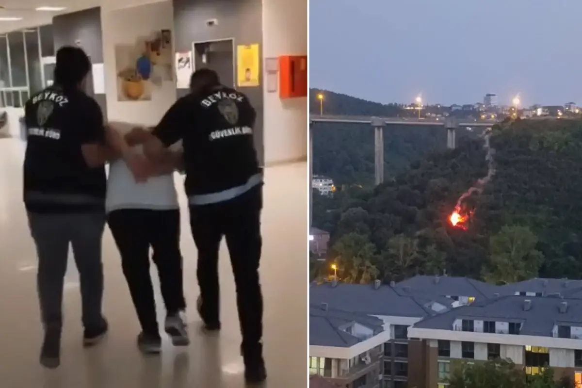 Beykoz'da işaret fişeği atarak orman yangınına sebep olan şahıs tutuklandı! İşte ilk ifadesi