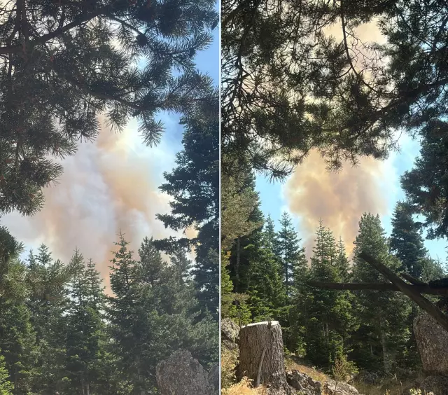 This time flames rose from Çankırı! Air and ground intervention continues