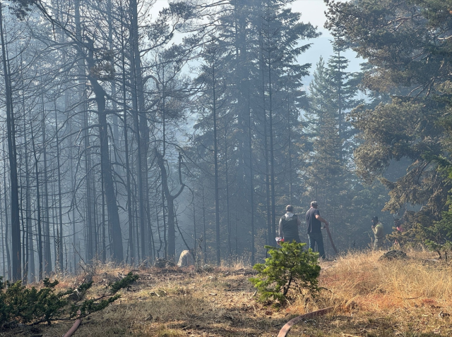 Bursa'da acı tablo! Yangının bıraktığı tahribat havadan görüntülendi Bursa'da acı tablo! Yangının bıraktığı tahribat havadan görüntülendi
