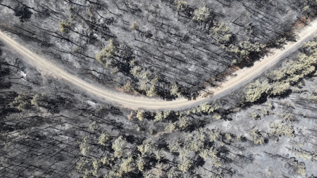 Bursa'da acı tablo! Yangının bıraktığı tahribat havadan görüntülendi Bursa'da acı tablo! Yangının bıraktığı tahribat havadan görüntülendi