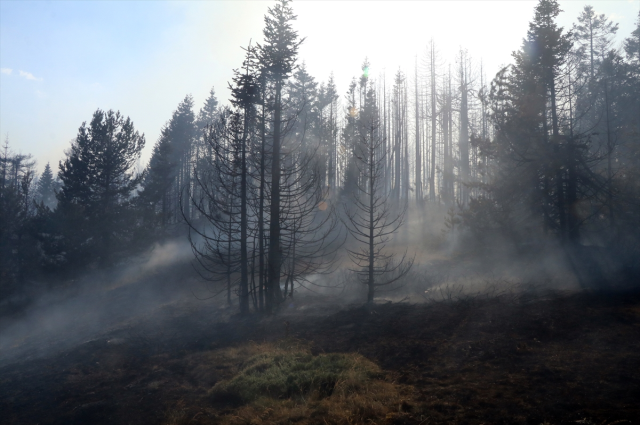 Bursa'da acı tablo! Yangının bıraktığı tahribat havadan görüntülendi Bursa'da acı tablo! Yangının bıraktığı tahribat havadan görüntülendi