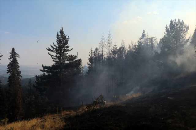 Bursa'da acı tablo! Yangının bıraktığı tahribat havadan görüntülendi Bursa'da acı tablo! Yangının bıraktığı tahribat havadan görüntülendi