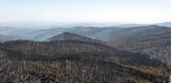 Bursa'da acı tablo! Yangının bıraktığı tahribat havadan görüntülendi