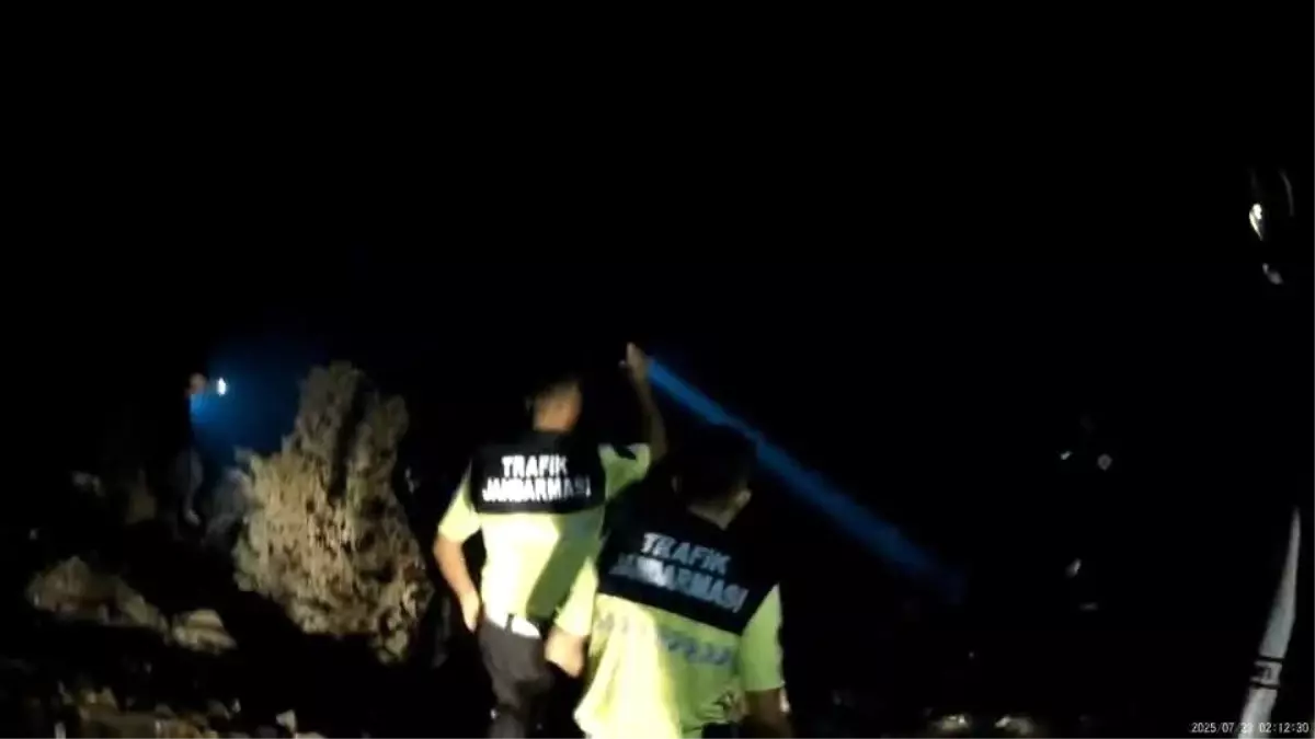 Bursa'da Orman Yangınına Kundaklama Girişimi