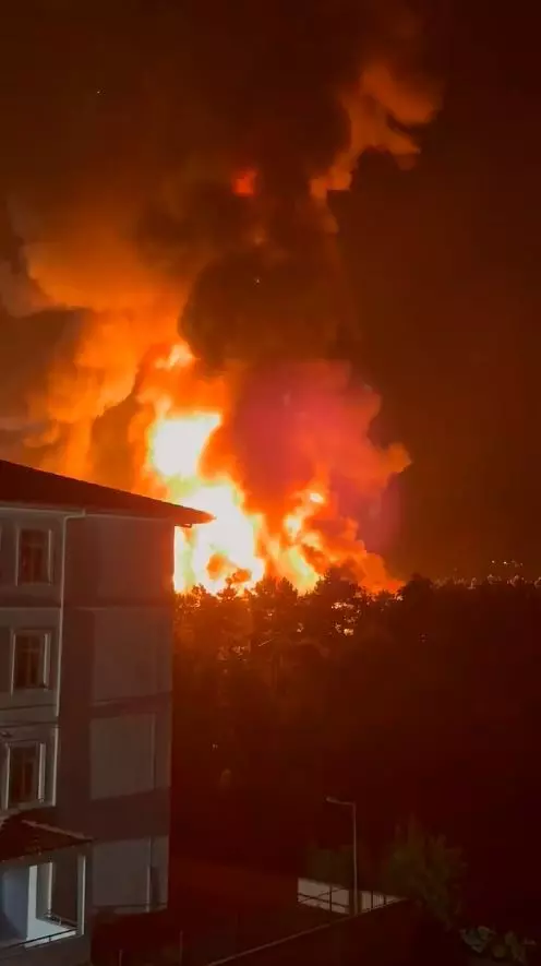 A fire broke out at the sponge factory near the forest in Çekmeköy