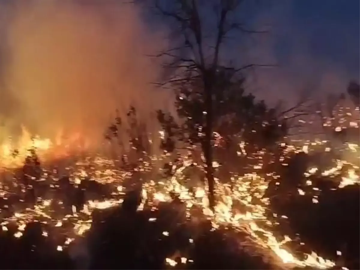 Diyarbakır Lice'de Kırsalda Yangınlar Söndürüldü