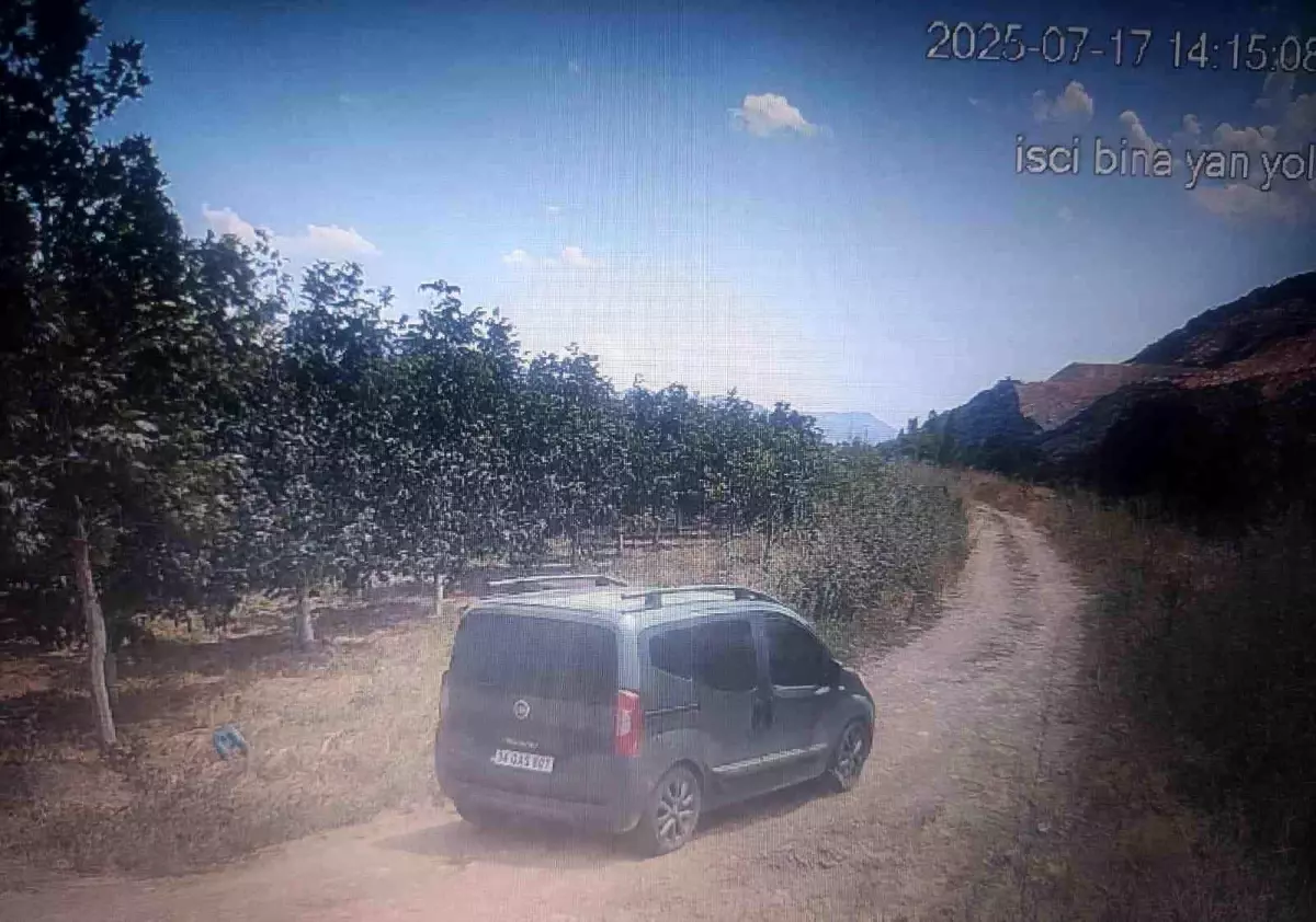 Eğirdir'de Hırsızlık Olayına Karışan 4 Şüpheliden 2'si Tutuklandı