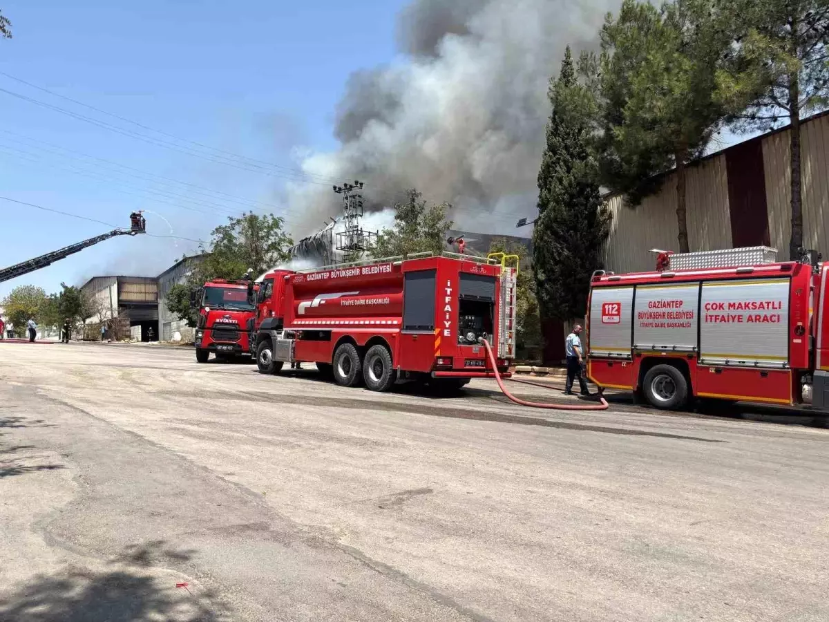 Gaziantep'te Halı Fabrikasında Yangın, Ekipler 4 Saatte Kontrol Altına Aldı