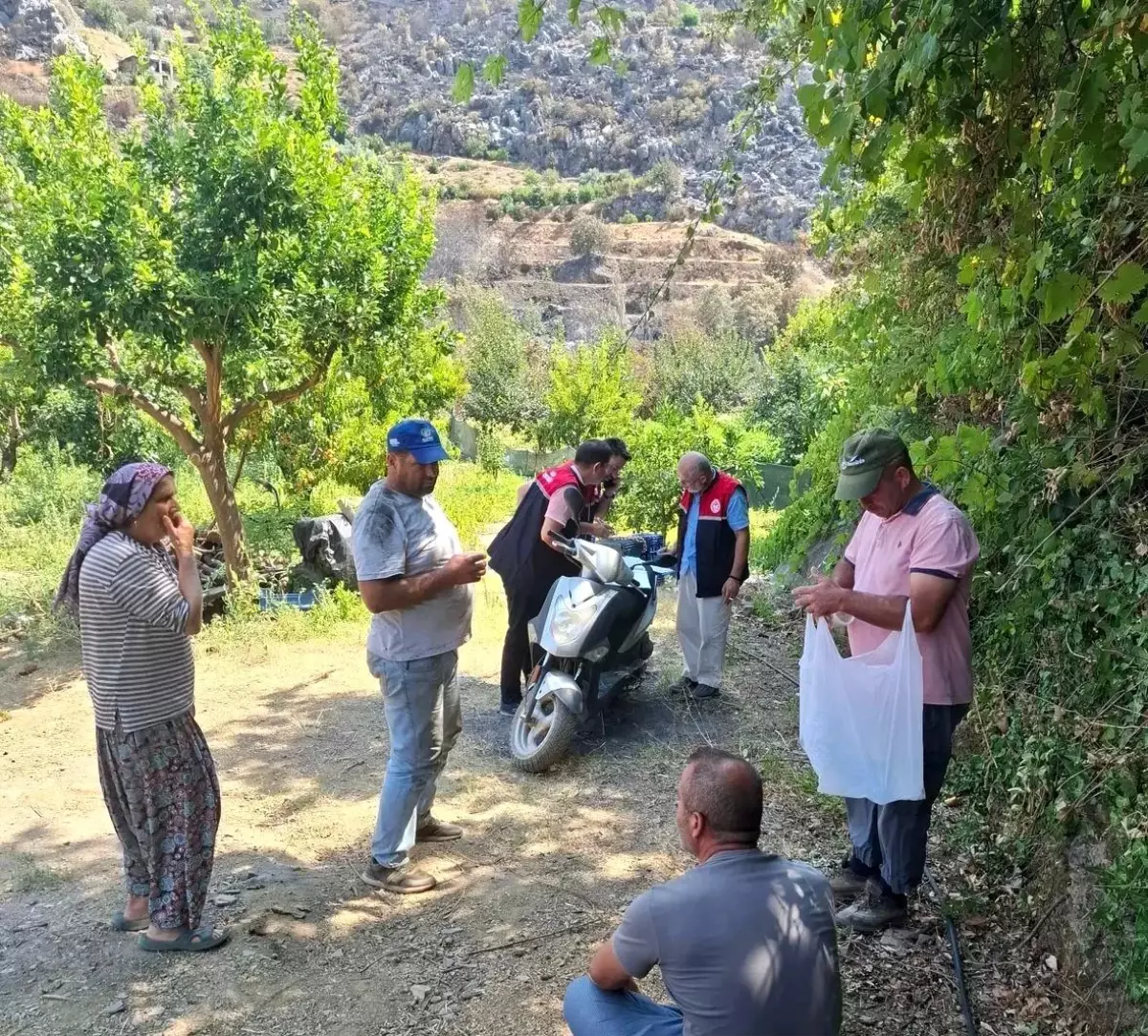 Gazipaşa'da Orman Yangını Tarımsal Zarar Verdi