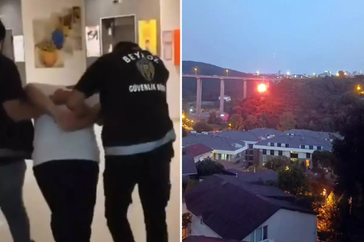 İstanbul'da işaret fişeğiyle ormanı yakan şahıs gözaltına alındı