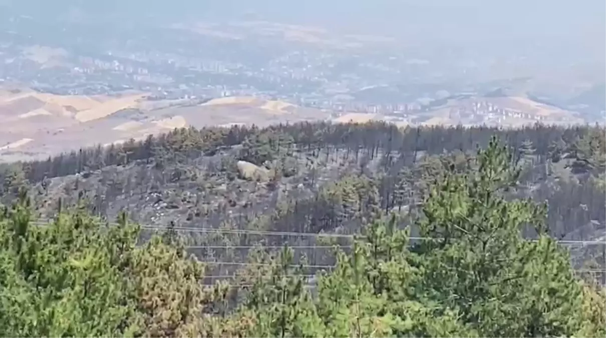 Karabük'teki Orman Yangını Kontrol Altına Alındı