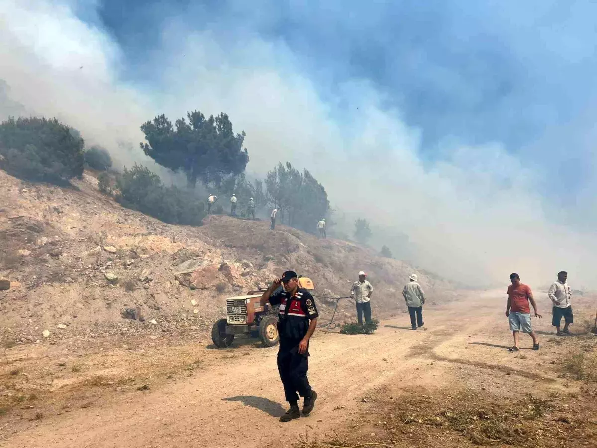 Manisa'da Orman Yangını Kontrol Altına Alındı, 3 Kişi Gözaltında
