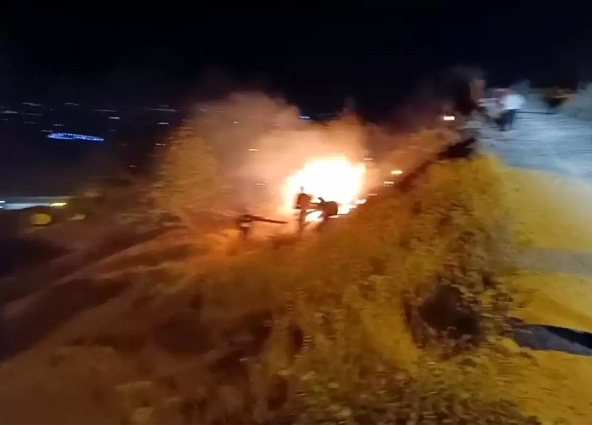 Mardin'de Otluk Alanda Yangın Çıktı