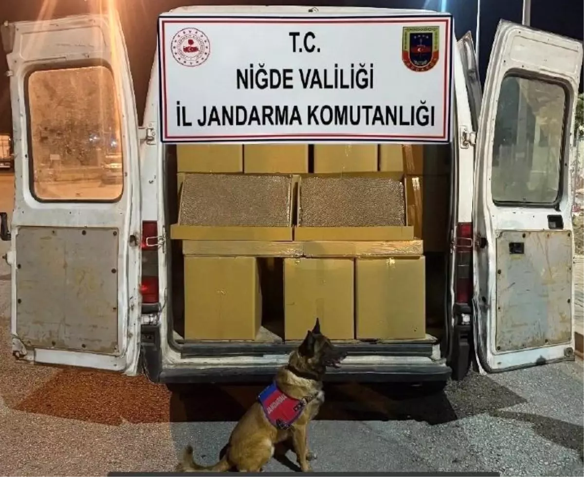 Niğde'de Kaçak Tütün Operasyonu: 1.2 Milyon Makaron Ele Geçirildi