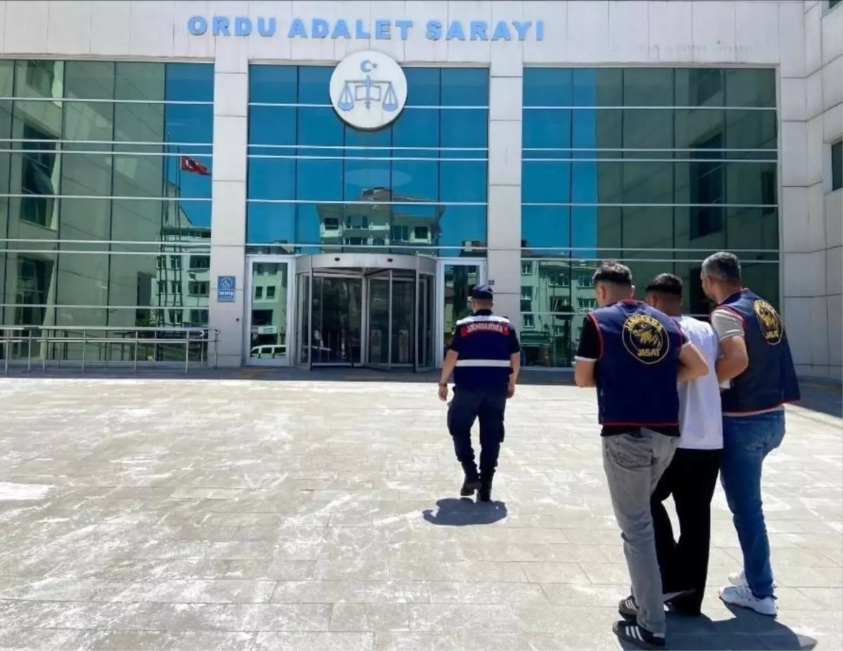Ordu'da Jandarma Ekipleri Suçlulara Geçit Vermiyor