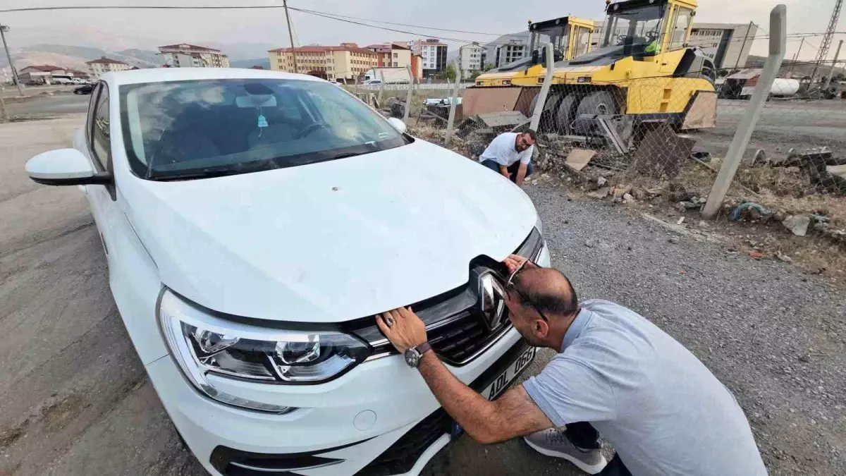Üç Öğretmenin Yavru Kediyi Annesine Kavuşturması