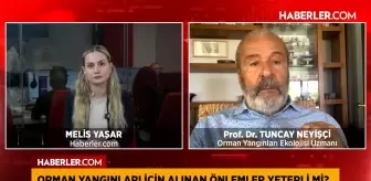 Prof. Dr. Tuncay Neyişçi: Ormanlarımız önümüzdeki yıl daha çok yanacak